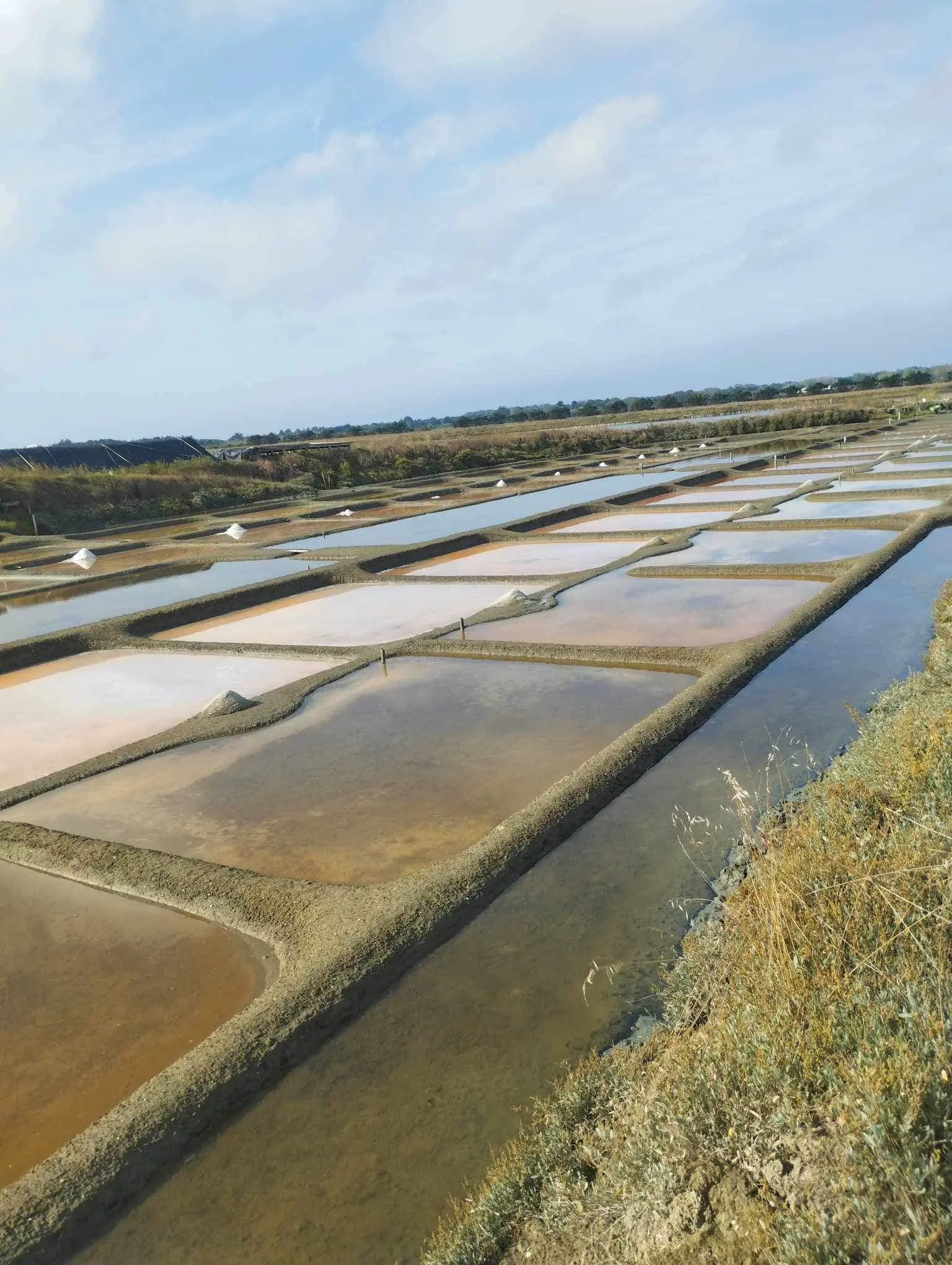 Noirmoutier Island