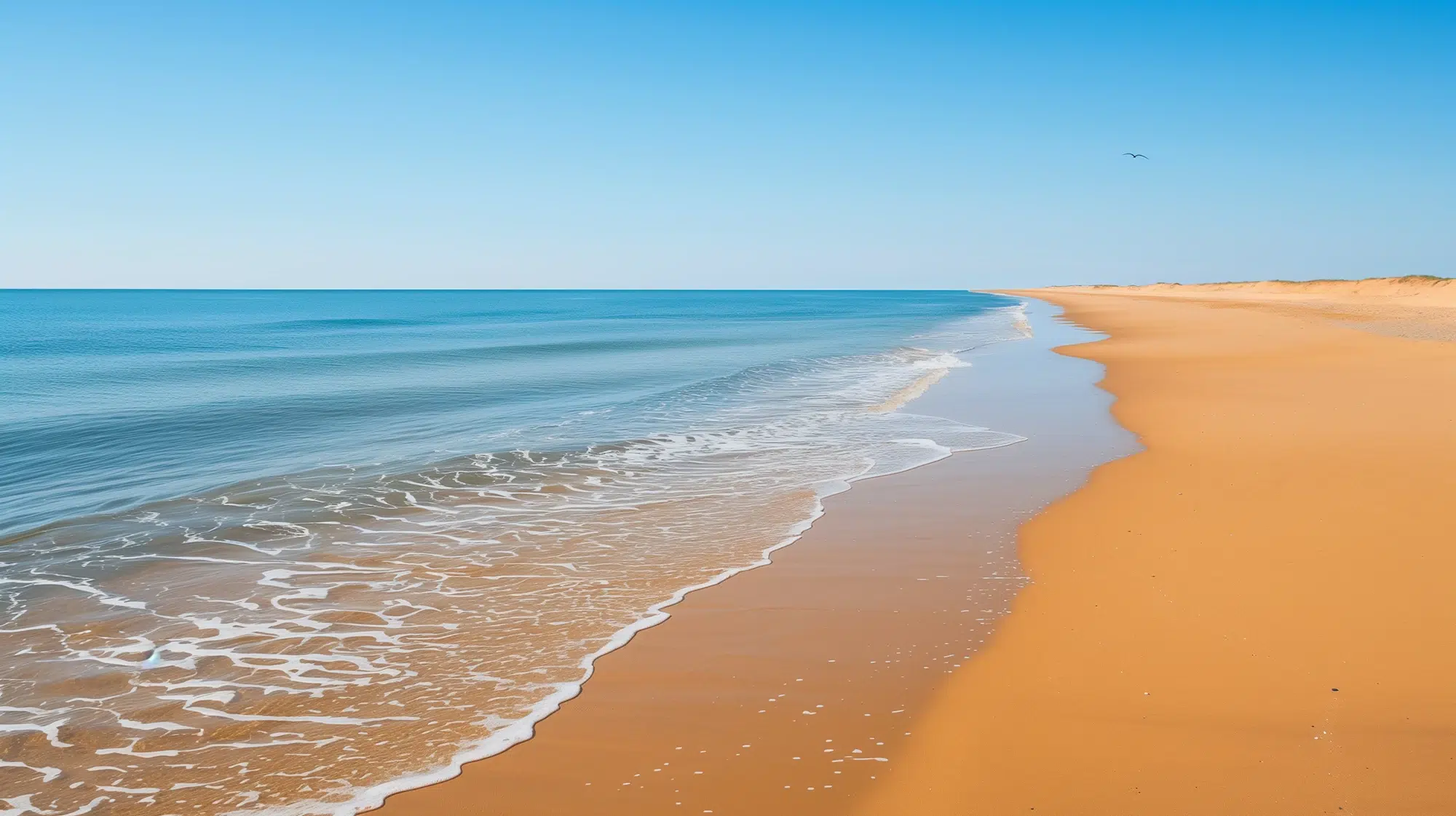 belle plage vendee