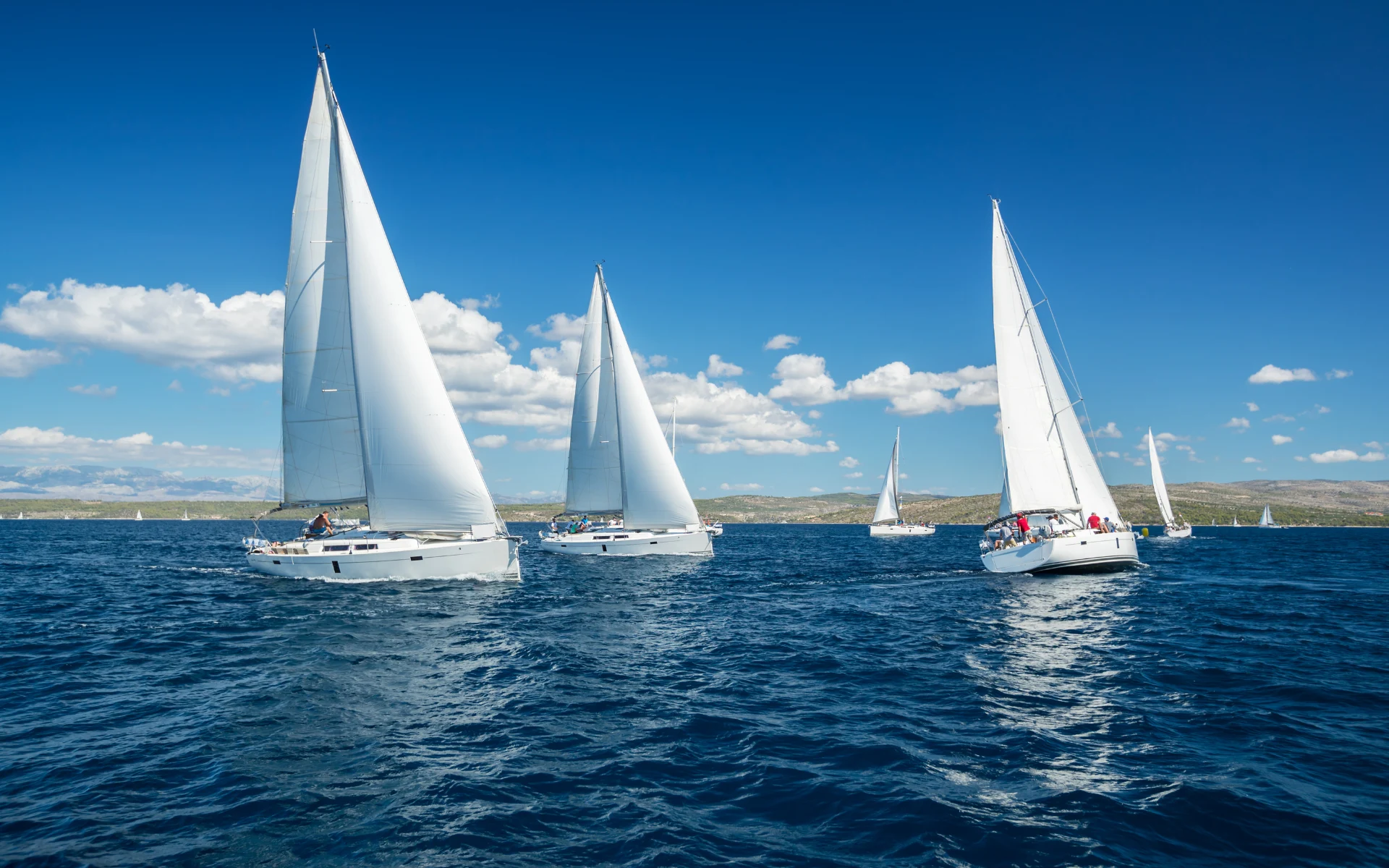 ocean sailing race