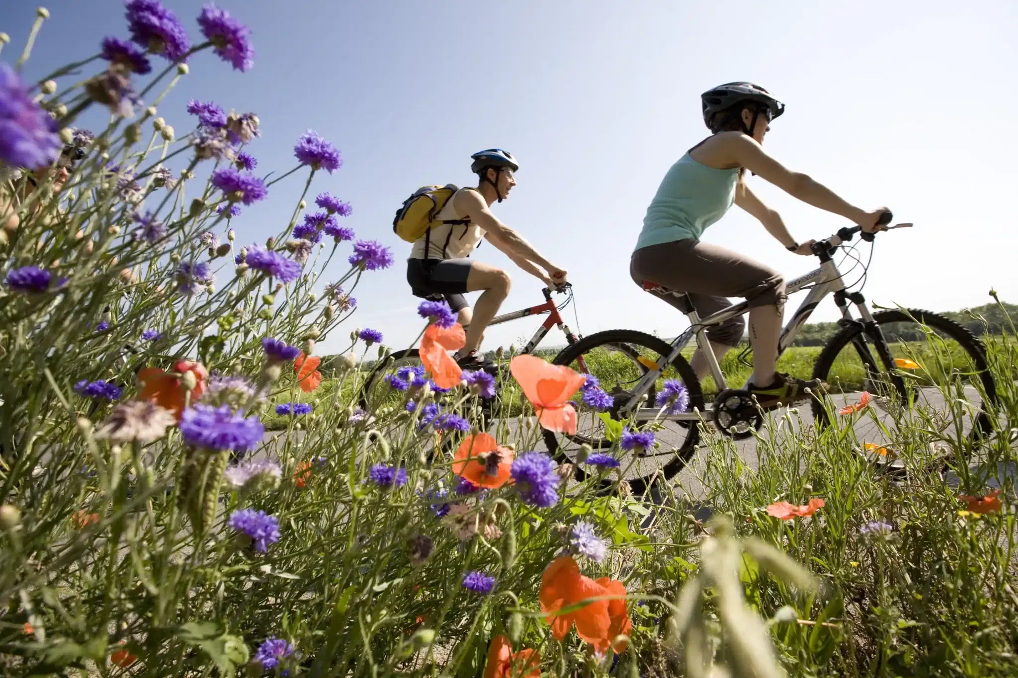 Mountain biking on the Ile d'Oleron