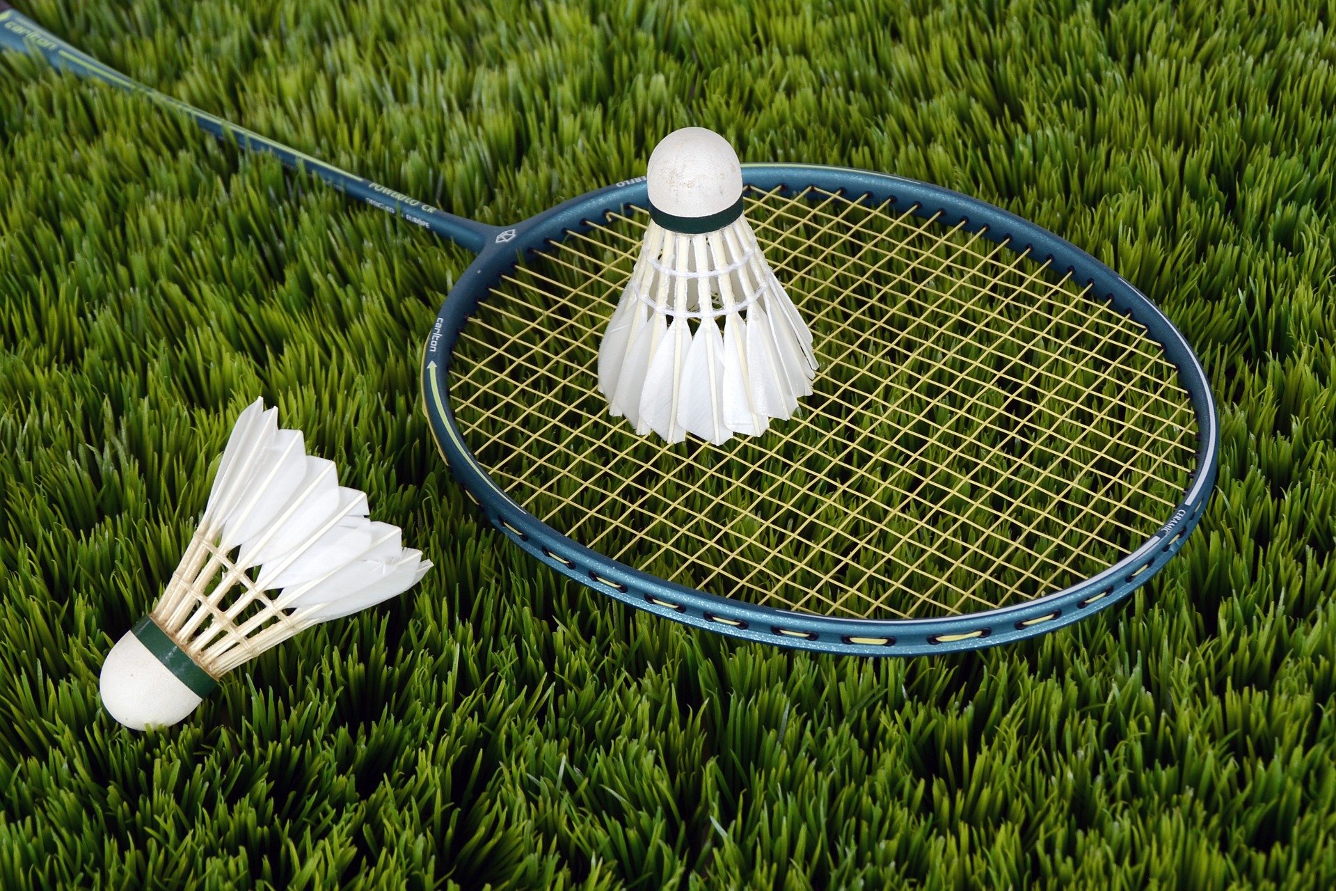 raquettes et volants de badminton posés sur du gazon