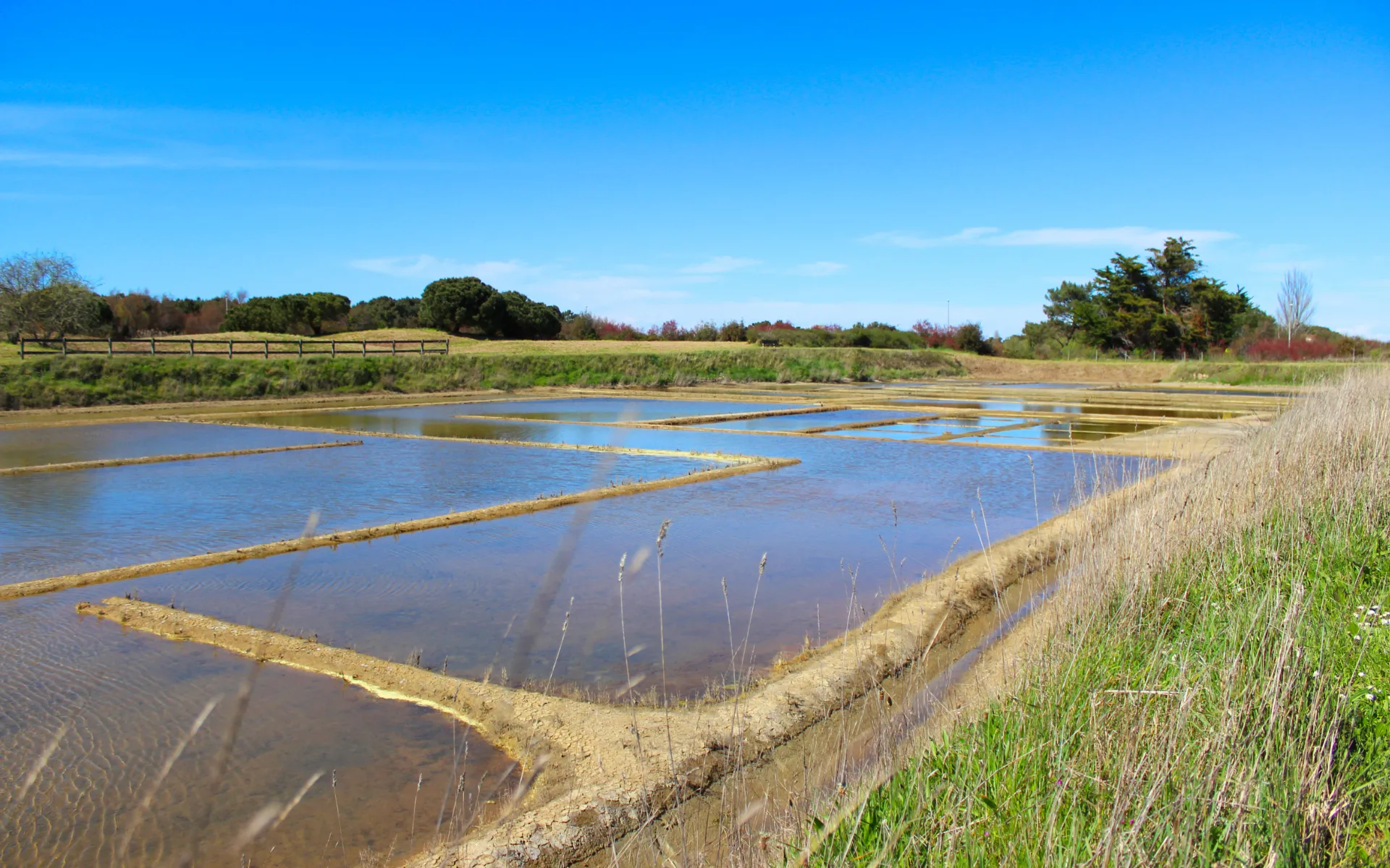 les marais salants ile d oleron