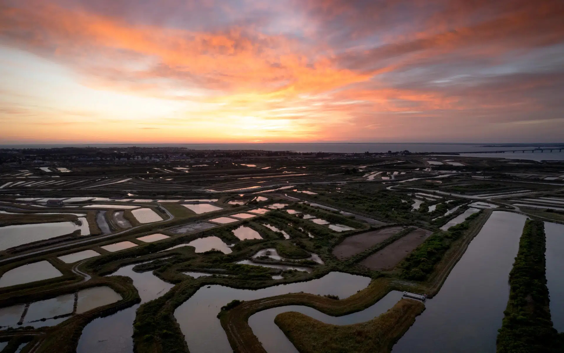 salt marshes ile d'oleron sunset