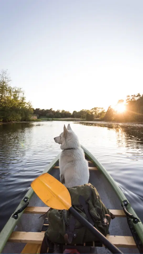 boat trip