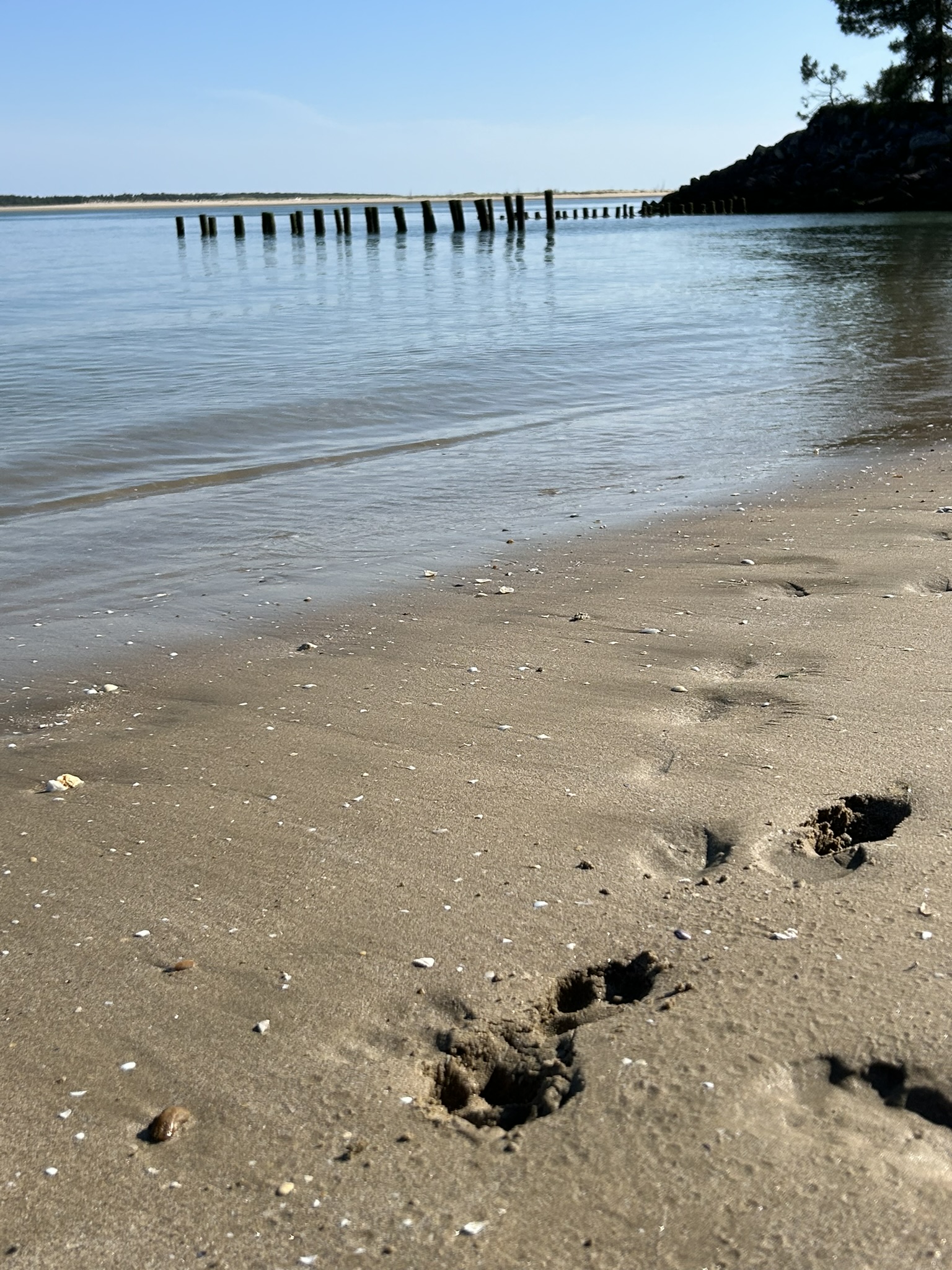 La plage de Gatseau avec la mer en arrière plan et des empreintes de pas dans le sable au premier plan