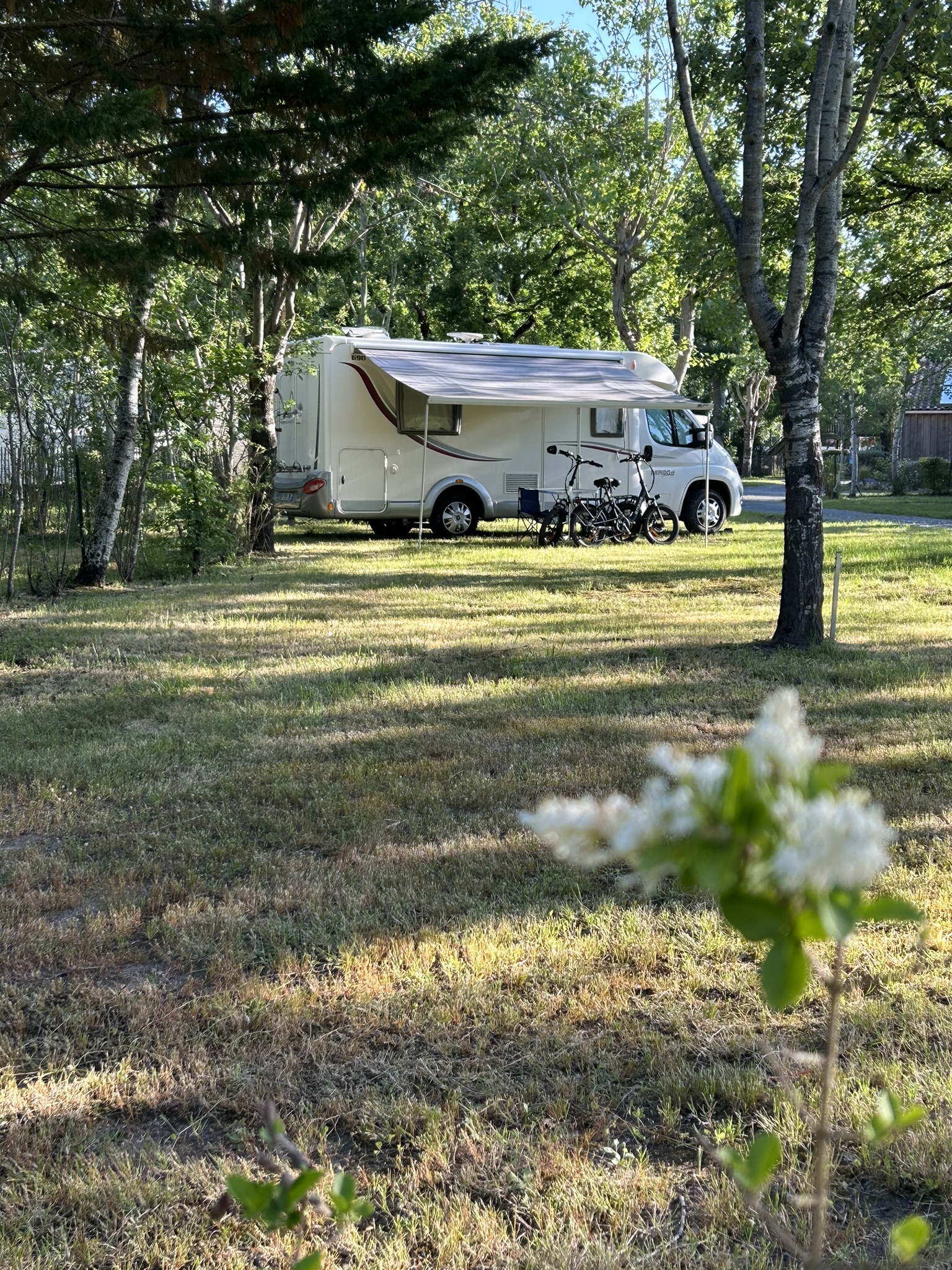 Camping-car au loin sur un emplacement nu avec fleurs au premier plan