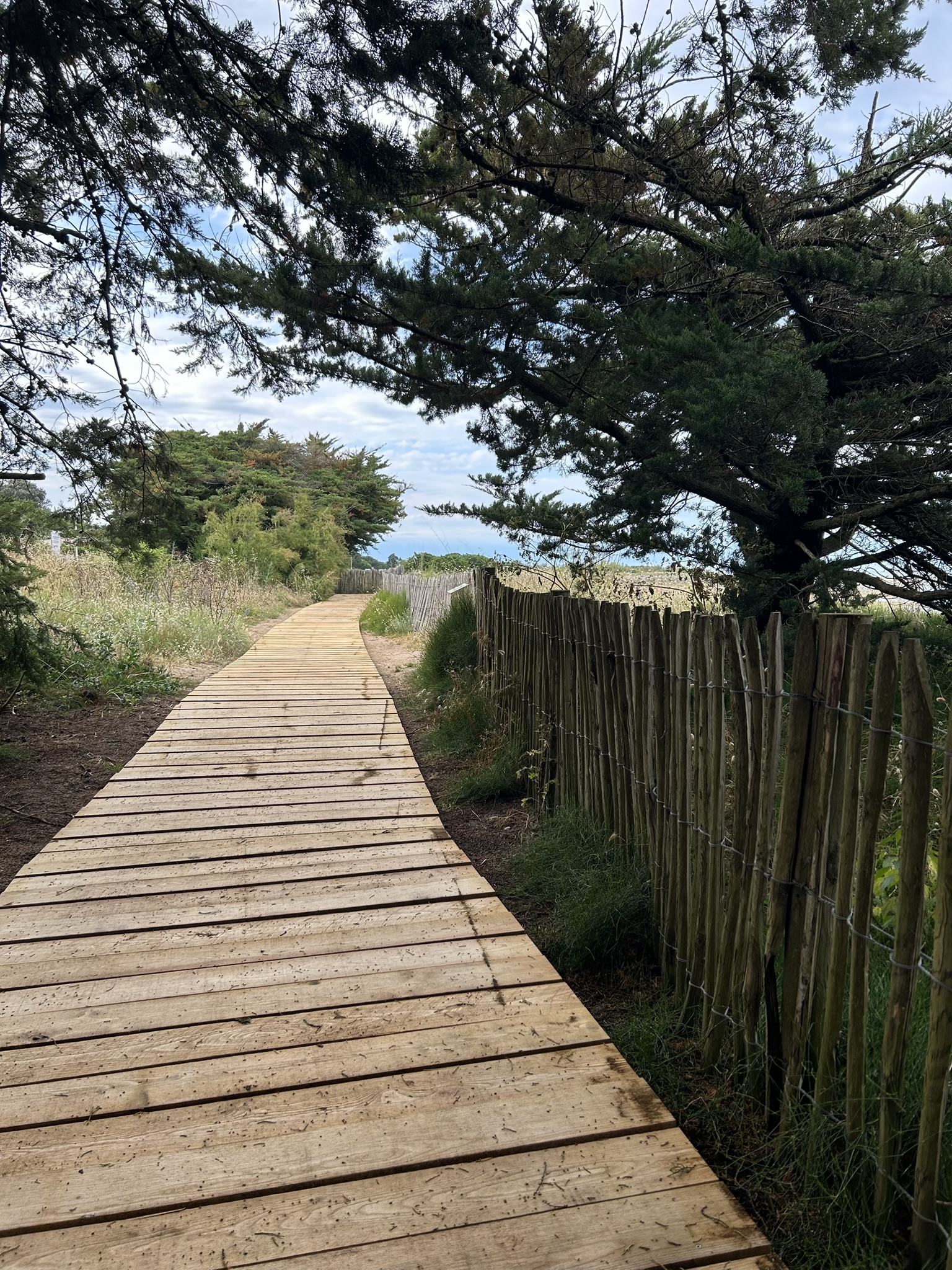 Cheminement en bois le long de la plage du Château d'Oléron