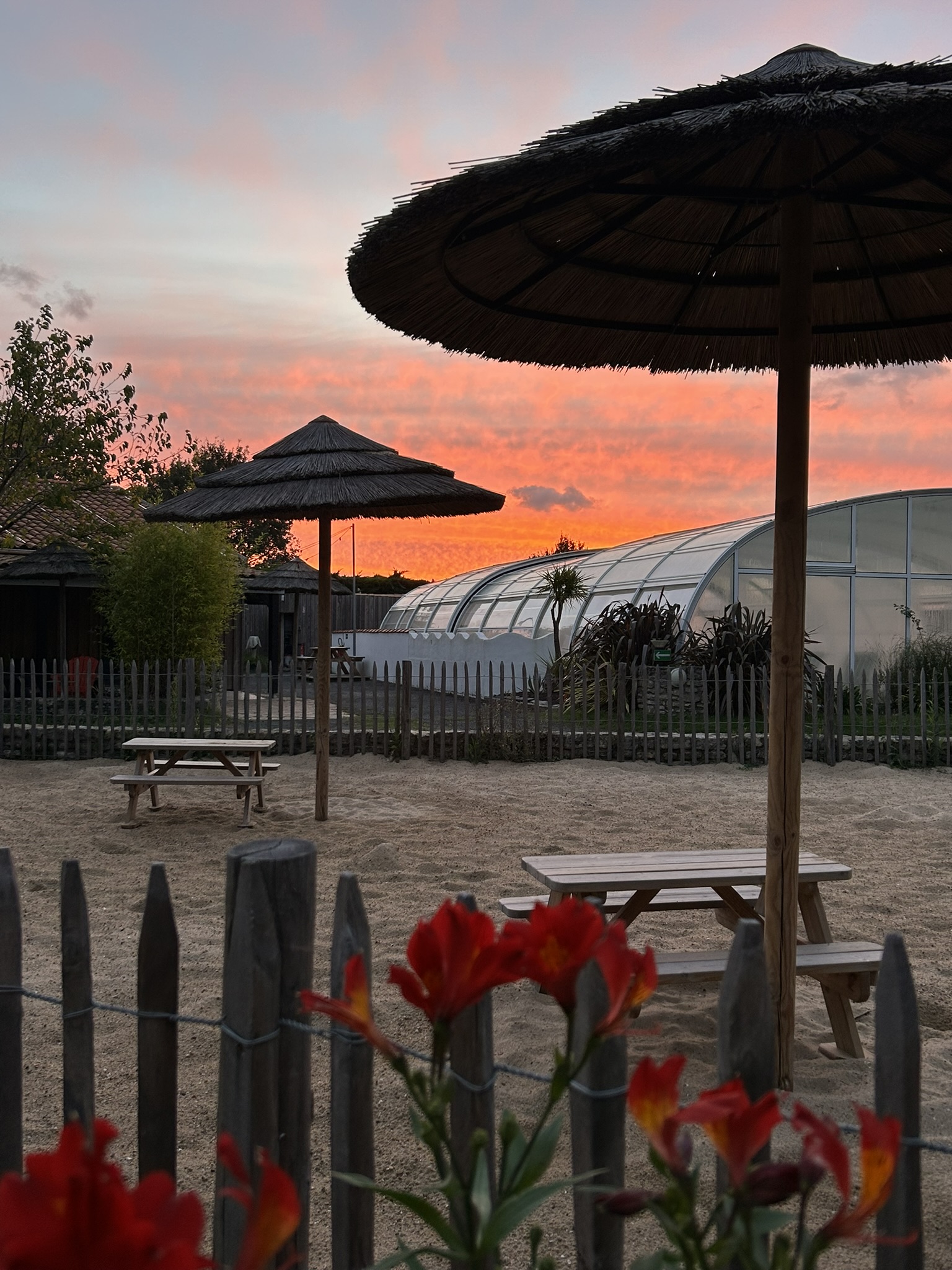 coucher de soleil sur parasols paillotte et piscine