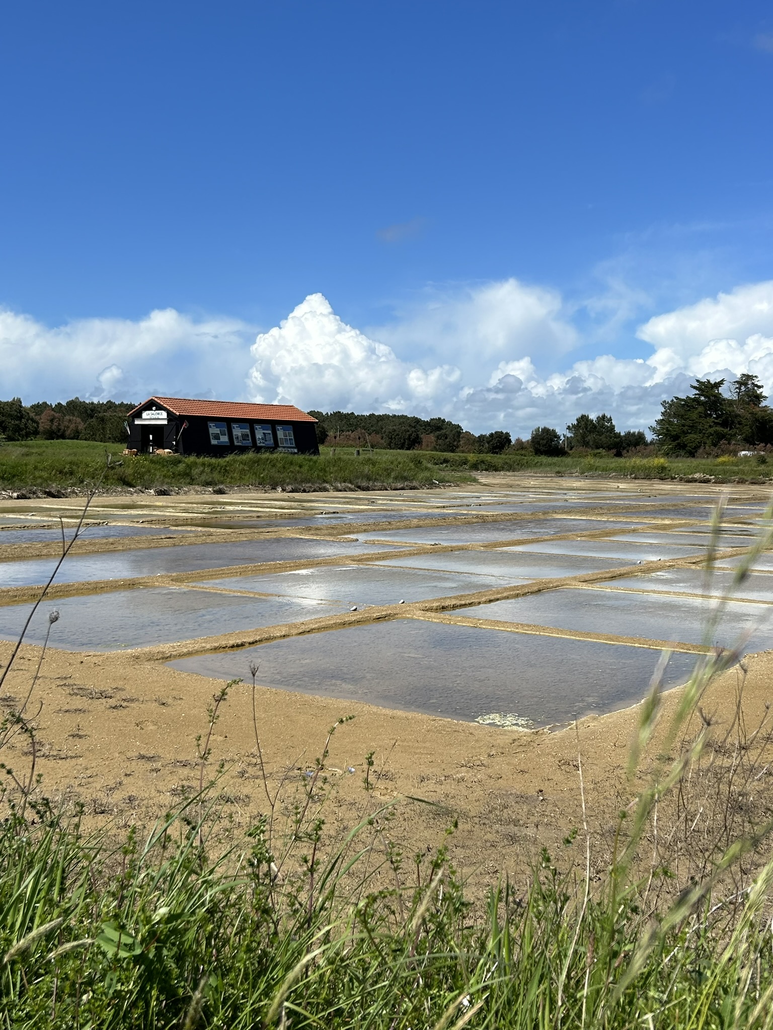 Vue sur les marais salants au Port des Salines