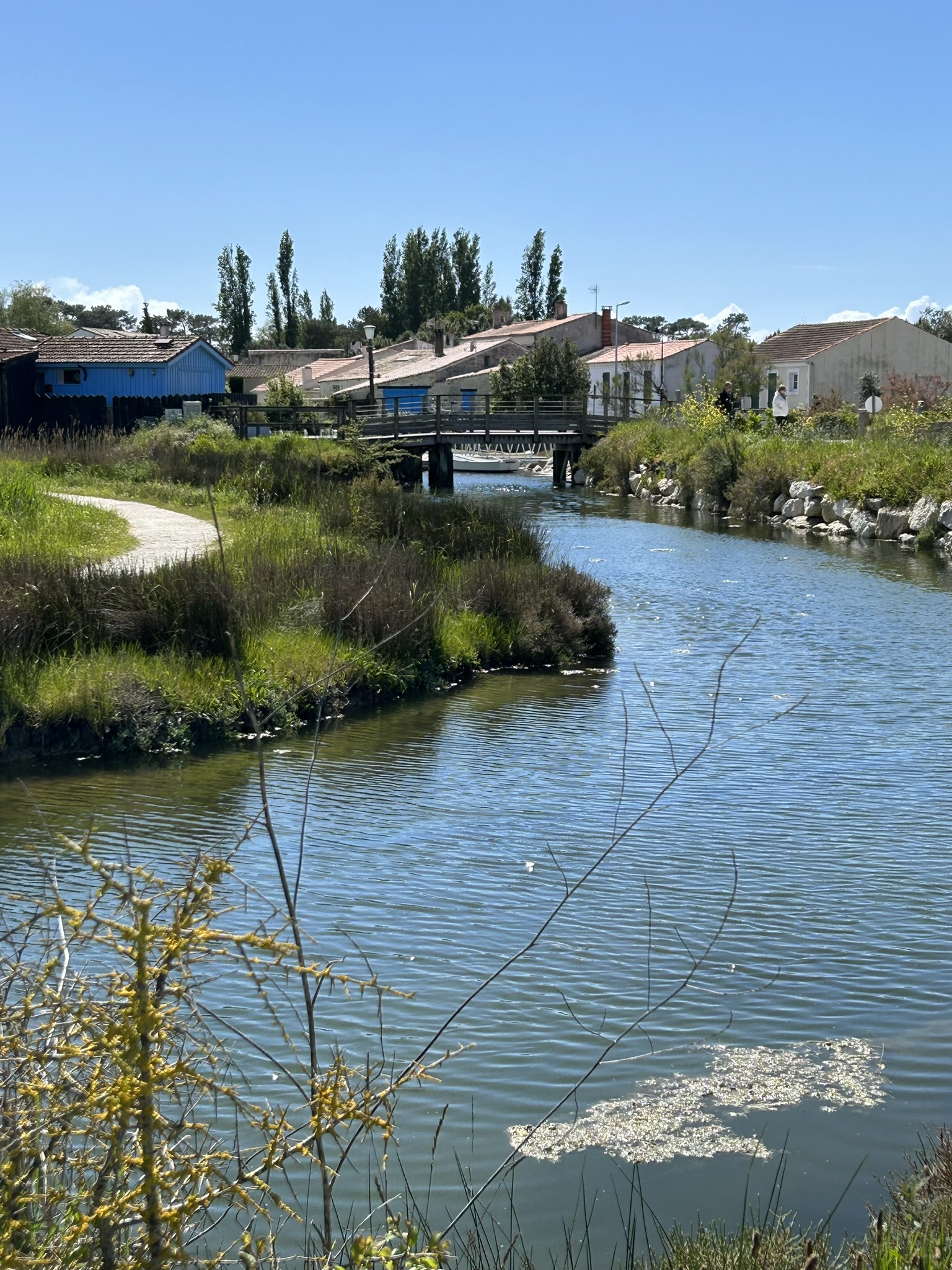 Vue sur le chenal du Port des Salines avec en fond un petit pont en bois et les cabanes colorées