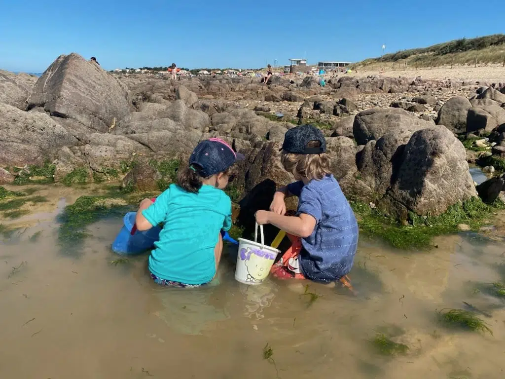 enfants bord mer recherche crabe coquillage pres camping Le Roc