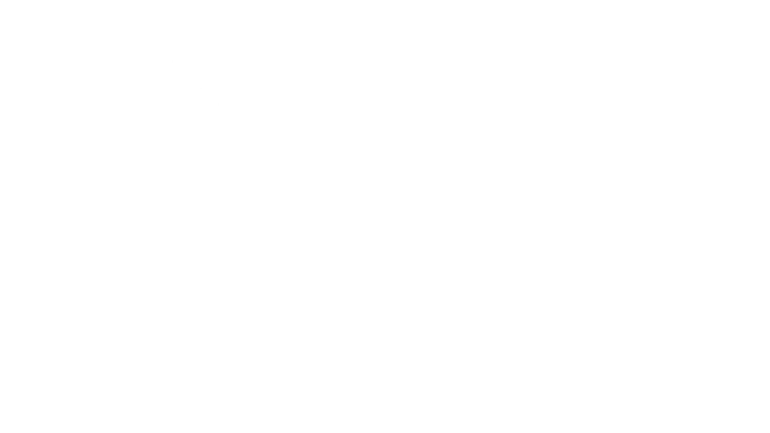 LE ROC white logo