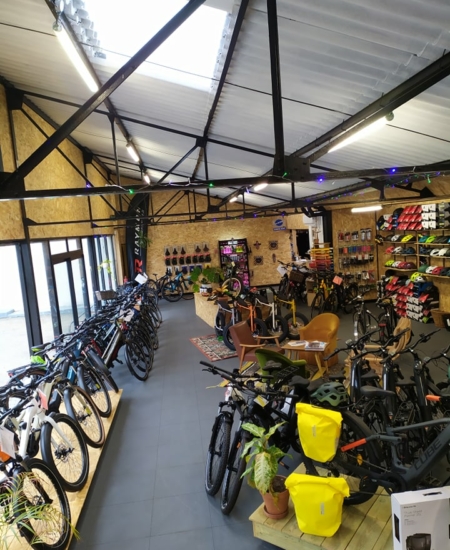 cycles demion magasin specialise cycles oleron charente maritime 450x550